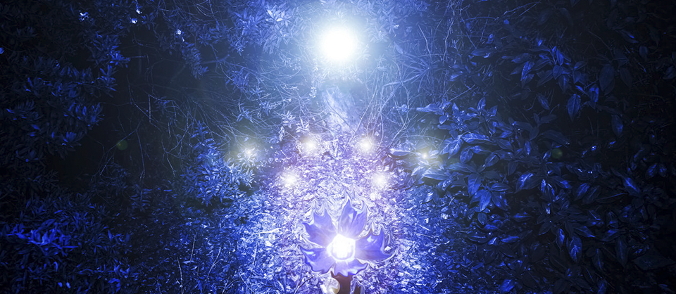 Evrensel Yasalar - Taner Tözün - Evrensel Enerji