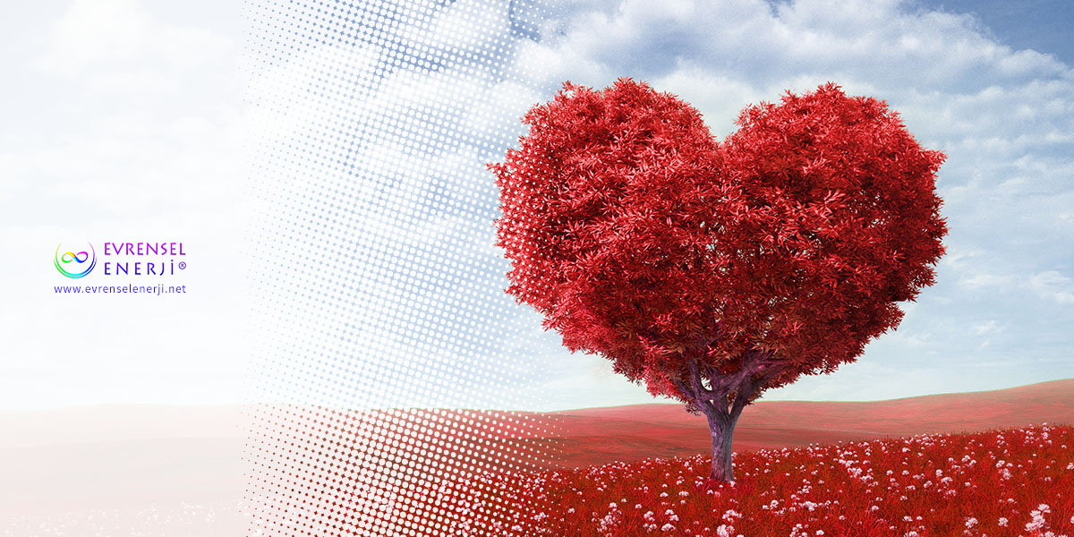 İlişki Dinamiklerimiz ve Şifalanma