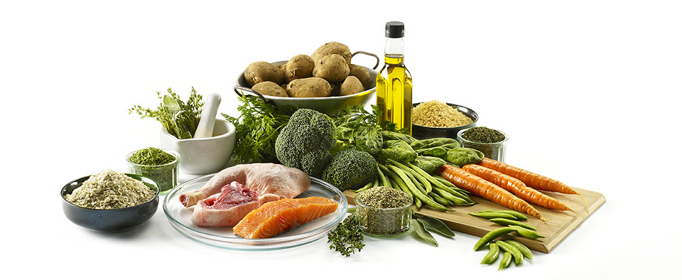 e evrensel enerji dogal beslenme